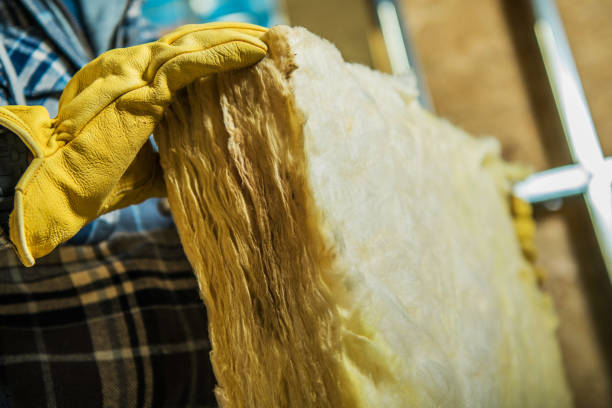 Best Eco-Friendly Insulation in Tn Lakes, WI